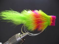 Fuzzy Bug - Rainbow Sherbert