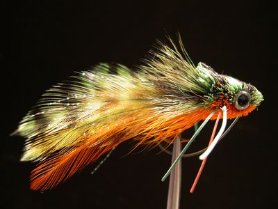 Warmwater Fly Fishing